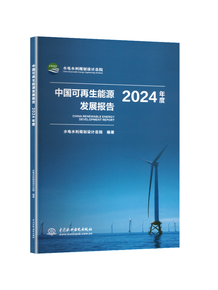 Raport o rozwoju energii odnaw – Renewable Energy In China recenzja i cena